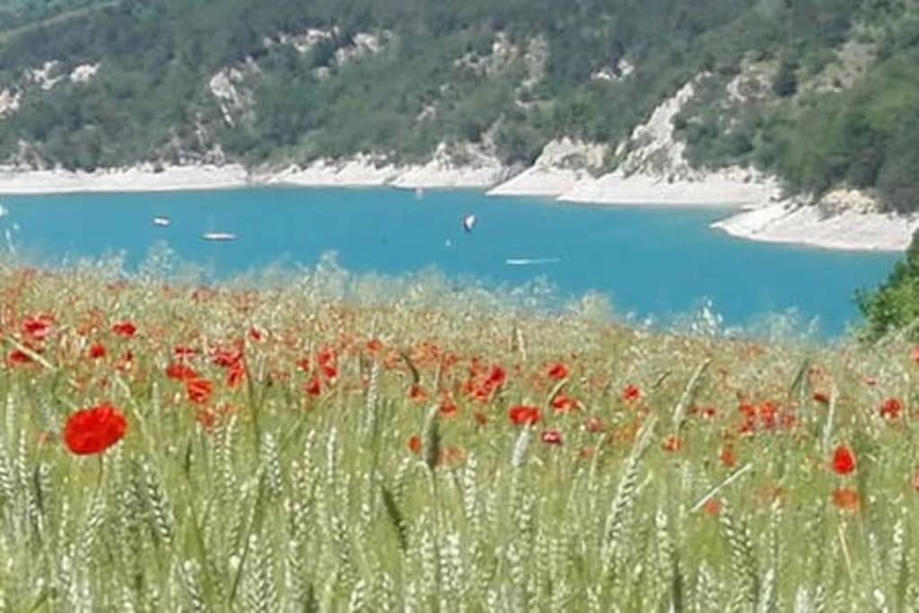 Gite De Charme : La Grange Au Lac Azur Treffort  외부 사진